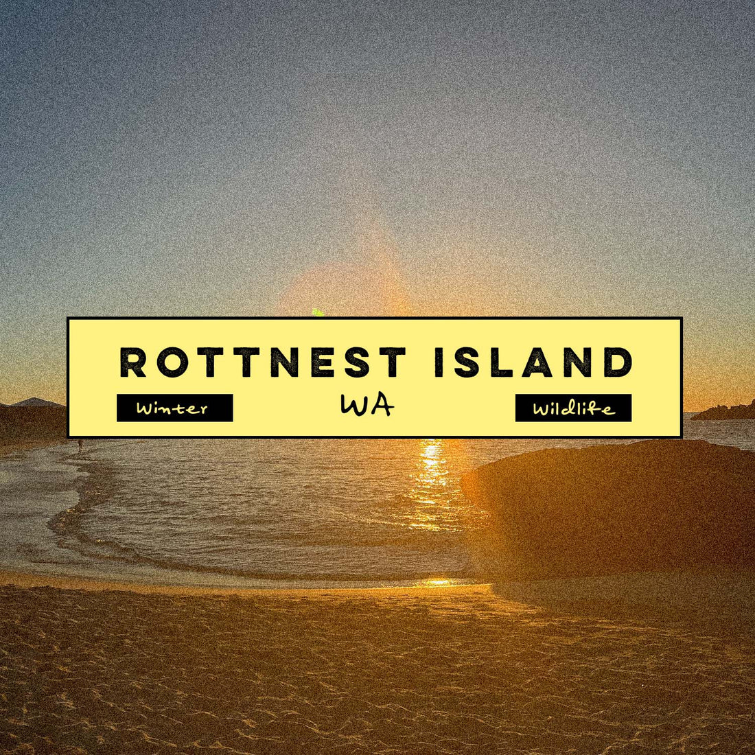 10 Things to do in Rottnest Island this Winter