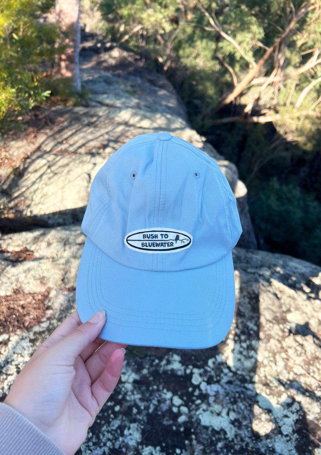 Vintage Logo Cap