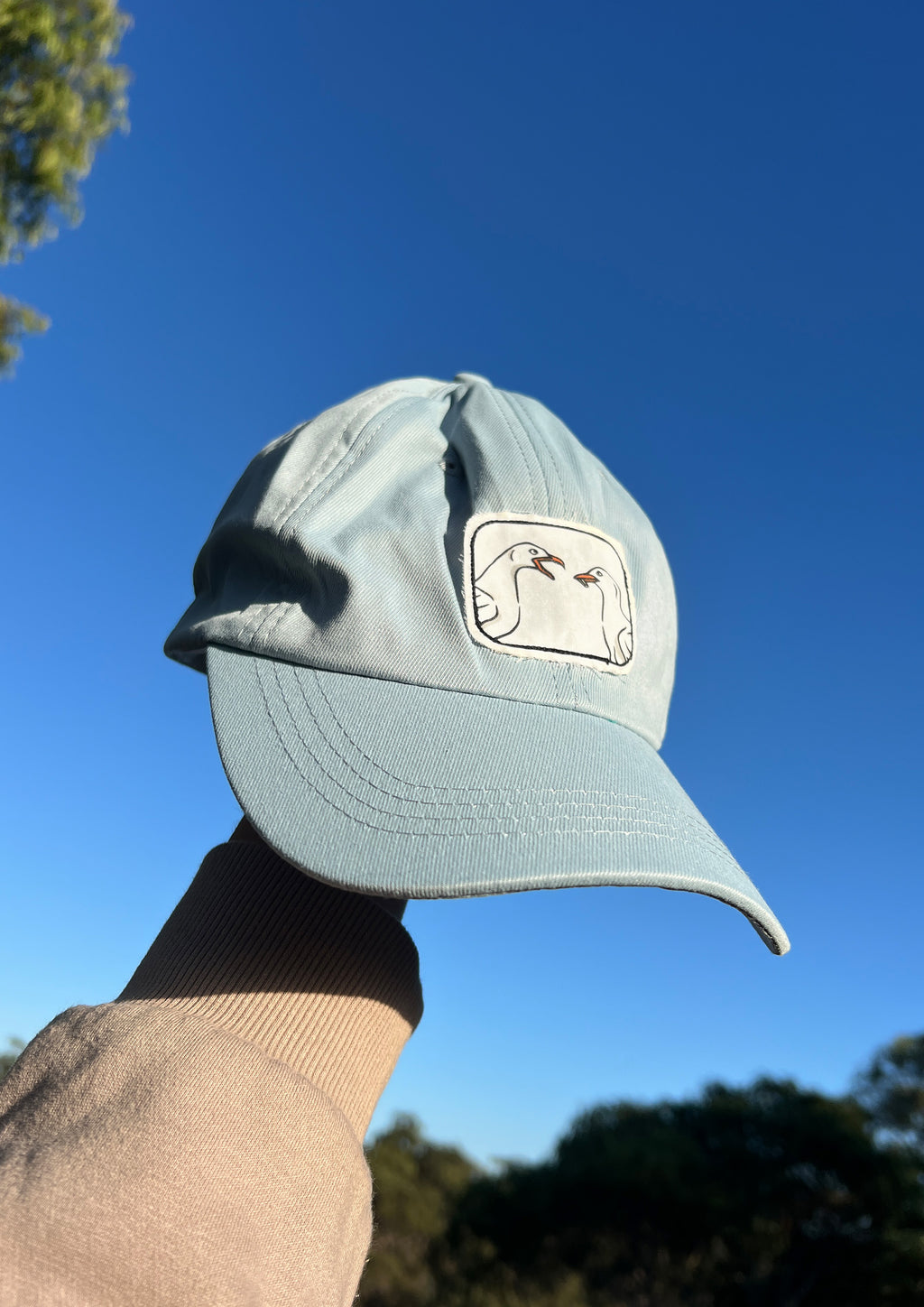 Seagull Cap