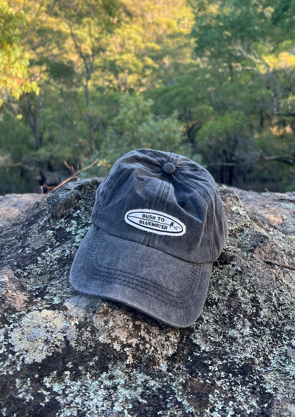 Vintage Logo Cap
