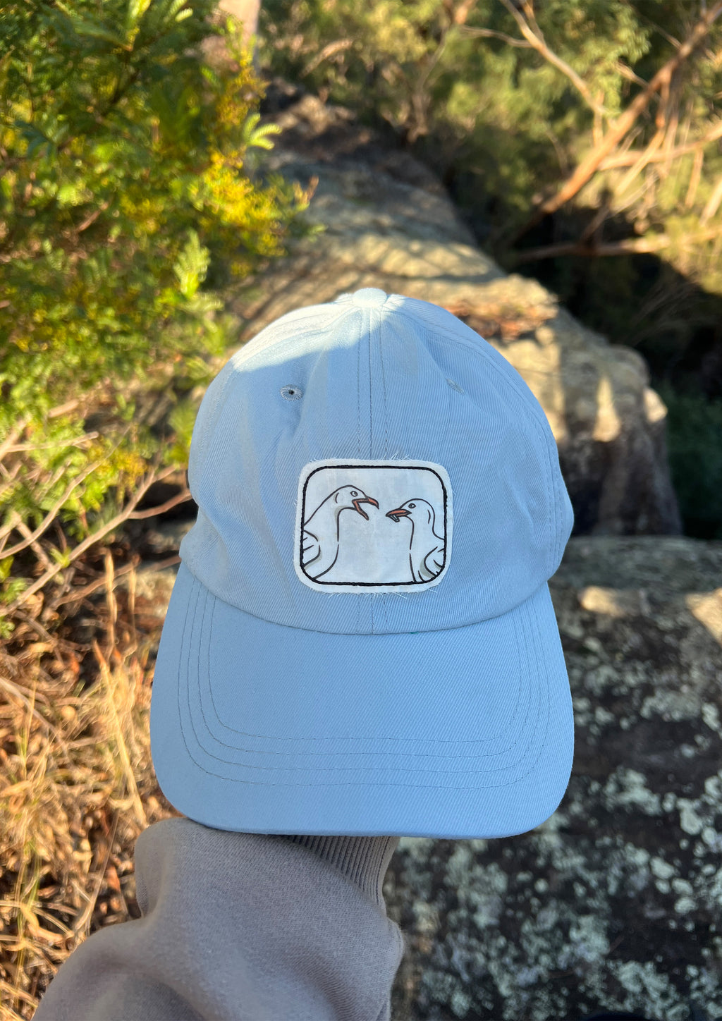 Seagull Cap