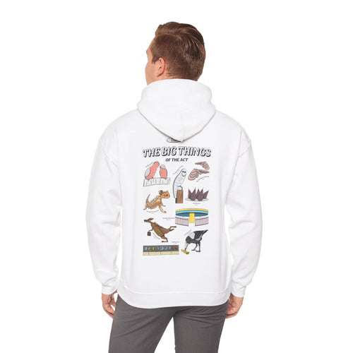ACT - Big Things Hoodie