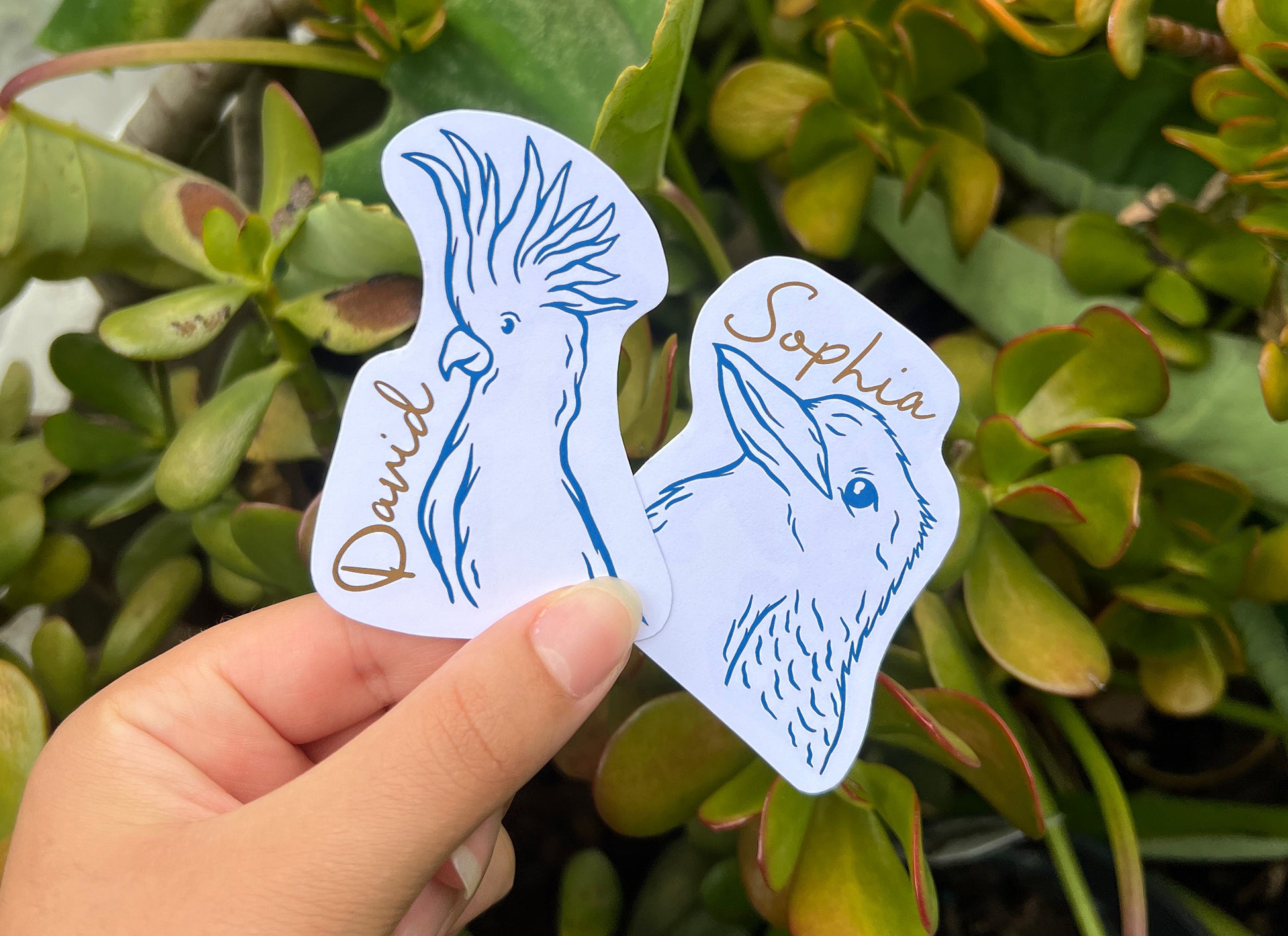 Aussie Animal Place Cards